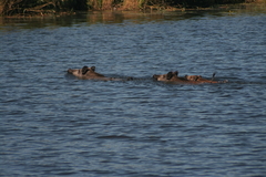 Killikus&reg; Fotographie